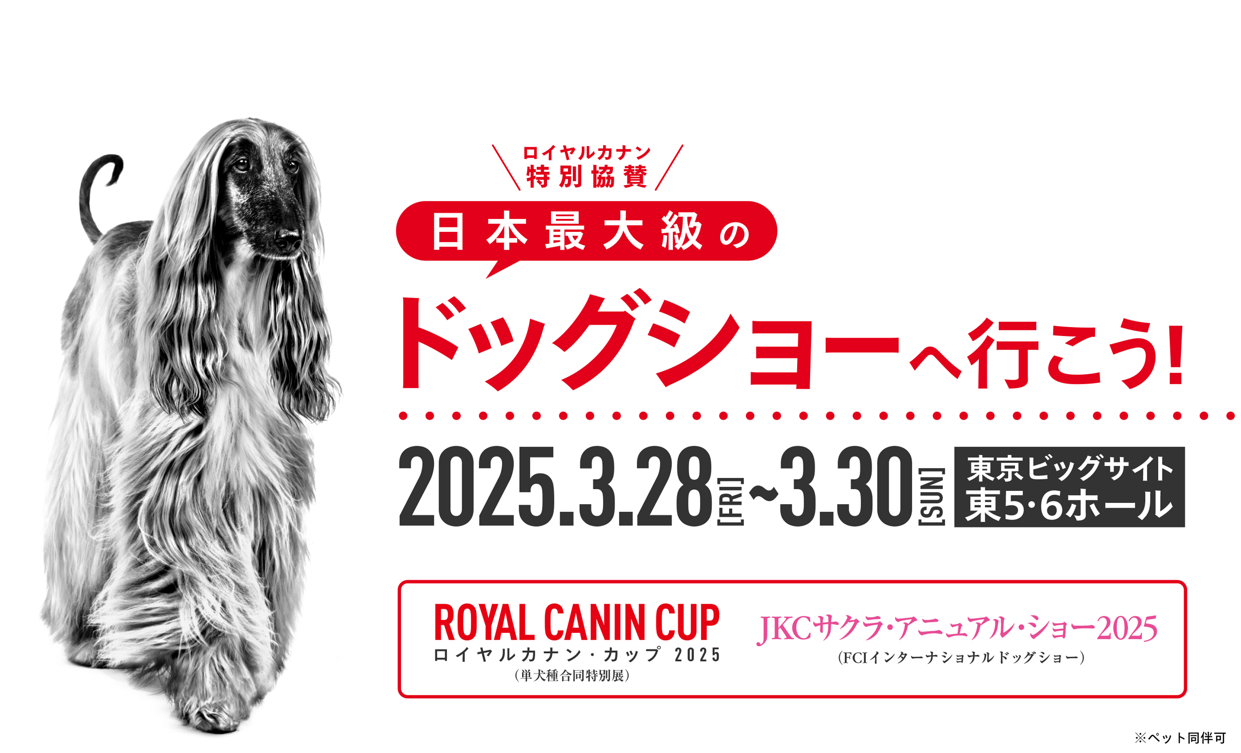 ROYAL CANIN CUP 2025×JKCサクラアニュアルショー